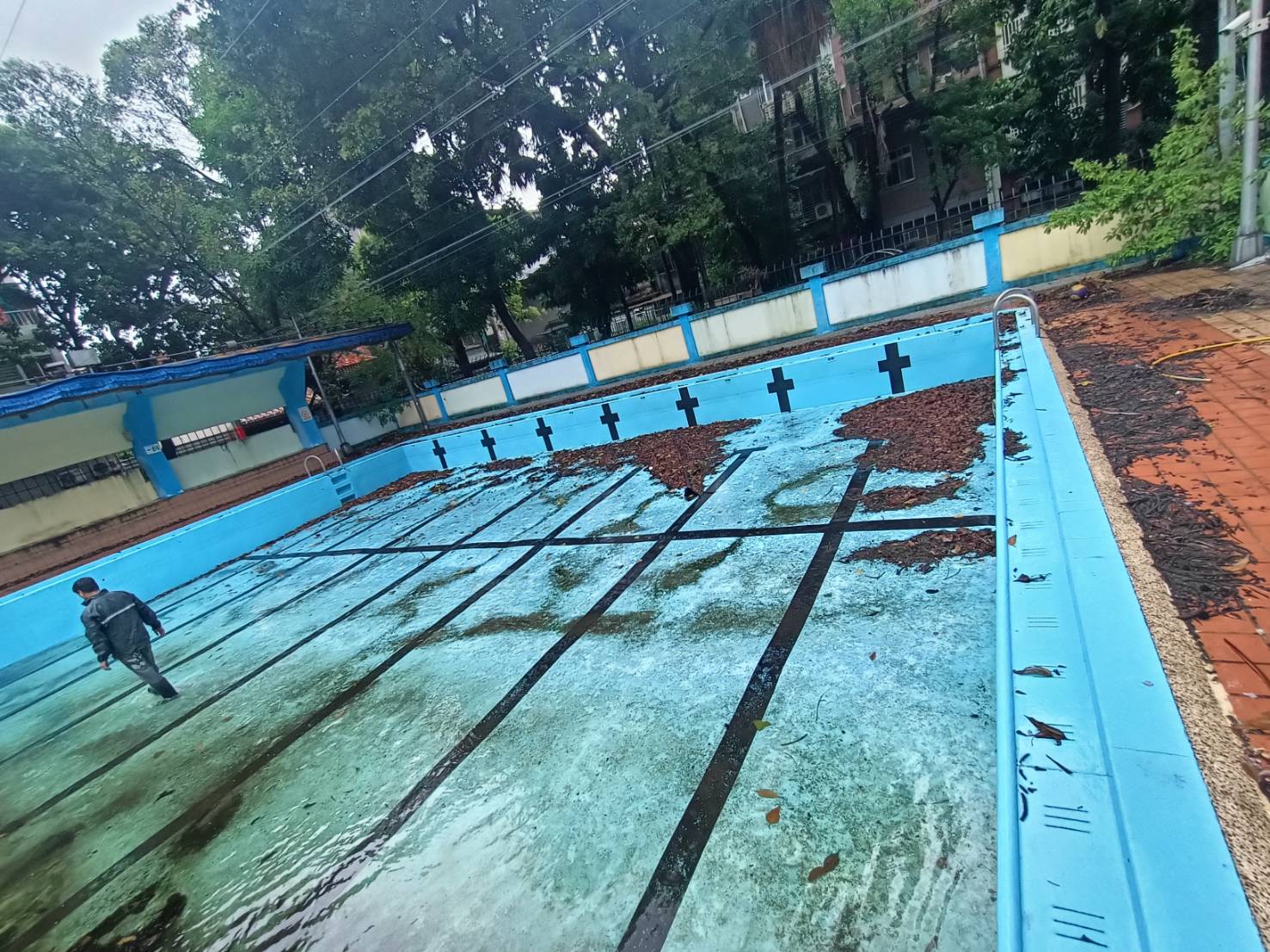 泳池、水池清洗